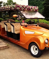 Խ�ϵĻ鳵�����뷨�����ӽ�һЩ