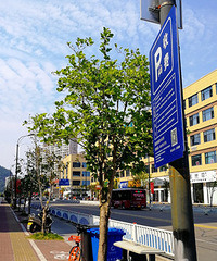 这片地方停车要收费了