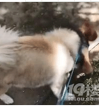 Ů��ι���촽��ҧһȱ