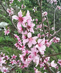 �ٺ�GG172�Ը���ͣ��������޳���ѹ��