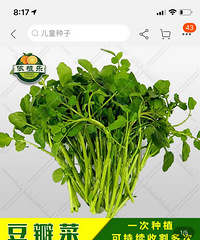 ���۸��᡿�����