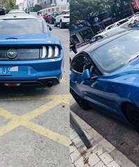 ��ɫҰ���ܳ���������������