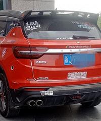 ���������˸������ӣ�̫������