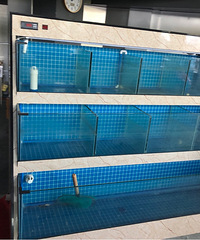 ȫ��װ�޷�������豸ת�ã���Ǯ����