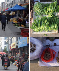 �伯�У�ϲ�����������ɶ�����߲�