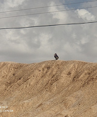 85��GG179������20w+���Ҹ�����Ů��