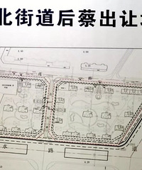 路桥街道后蔡出让地块,不知道会拍到多少?