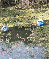 �������ġ�����Ǹ�ʲô�ģ�