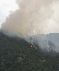 黄岩内环路边一山头着火