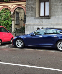 ���������ġ������������ĵ綯����̬