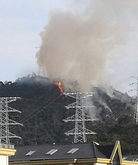 �����ڻ�·��һɽͷ�Ż���