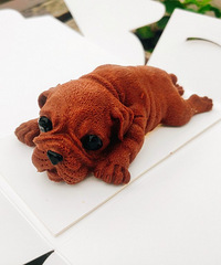 �ɰ���������