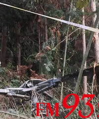 ��һ��ֱ���ɻ�׹�䣬��������Ա�������ѡ�