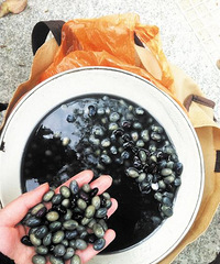 #�β���#�����ͷ����������һ������������