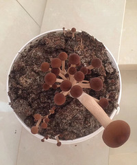 �������ġ����粻������ˣ��������Ѿ�����������