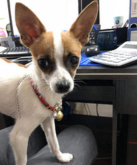 �а�����ʿ��Ҫ������