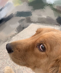 94��GG����178�����ˣ�Ѱ�Һ��ʵ�Ů��