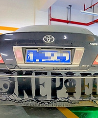 �ҵ�һ���Գ���