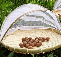 ���Ի���̨��No.38�����ȿ��䡢��ʯ����������Ӯȡ