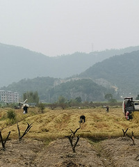 �������ġ������ո��ʰ����