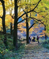 ͽ�����̨����5���ŵ�ɽ·��Ҫ�����¸߶�