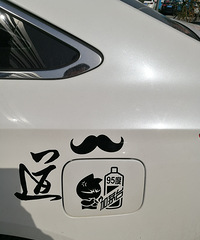 �ҵĸ��Գ������ǵ�+ę́95