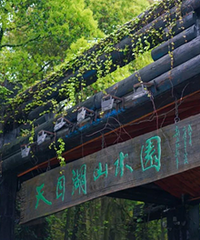 ��ɽ��ˮ����Ȫ�����кܶ���ɫ��ʳ