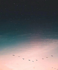 97��GG175�Ը����ƫ����ϲ������������Ů��