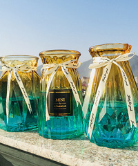 #�������# �ٴ�ins�绨ƿ