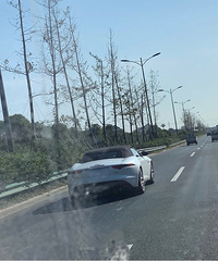 ���������ġ������ݱ��ܳ����ټ�������Ů����Ŷ