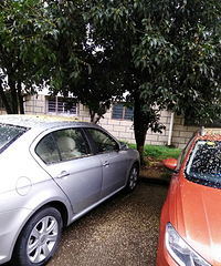 ���������ġ�һ��������󣬳���Ȼ���˻���