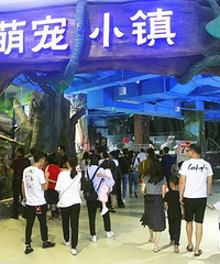 ���ȳ��ؼ��������߽�̨�ݺ������硰�ȳ�С�򡱣�