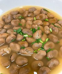 ��֭�������϶�����