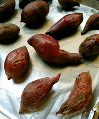 ����������΢��¯��������ĸ����ó��أ�