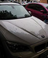 ���������ġ���С���복���𰡣�