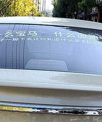 ��ţ�Ƶ�Զ����ʲô����  ʲô�µ� ��