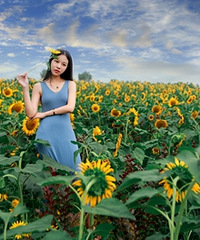 ������ϵ�ũҵ�۹�԰һƬ���