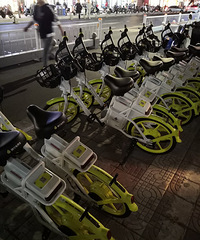 �������ġ����ҽ�ͷһҹ֮�������һ�������ĳ���