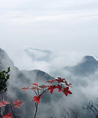 һת�����ƺ���翴�����֪������