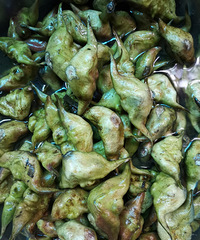 �������ġ�����ϴ�����ջ᲻����