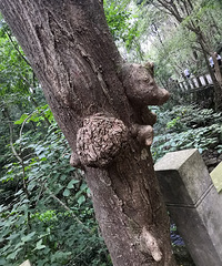 �������ġ���Ҳ�᳤������