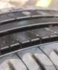 15��ȫ����̥+��챴���