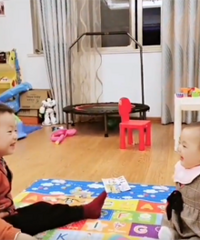 ƭ��������̥ϵ��