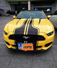 ���������ġ�Ұ����Ұ¿�����ֱ�