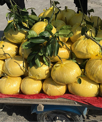 ���۸��᡿������ĵ�3.5Ԫһ�����