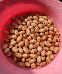 ��ը�����ף�һ��Ҫ������ͷŻ�����