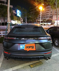 ���������ġ�һͷţ