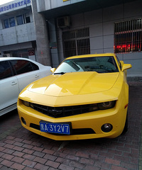 ���������ġ�����ȥ��Ұ����࣬��ϸһ��ȴ����