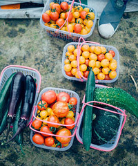 �л�Сũ�˻��ļ������һ��ȥ�ڷ�����ũ������һ������������