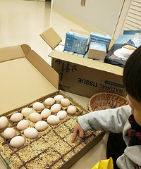 ��ɹ˫ʮһ����������԰������װ�ܺã�һ����û��